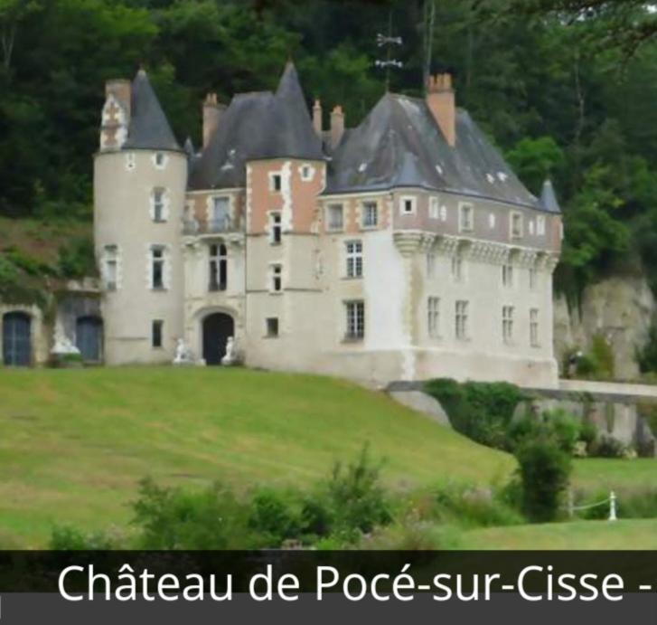 La Maison Aux Iris Pocé-sur-Cisse Dış mekan fotoğraf