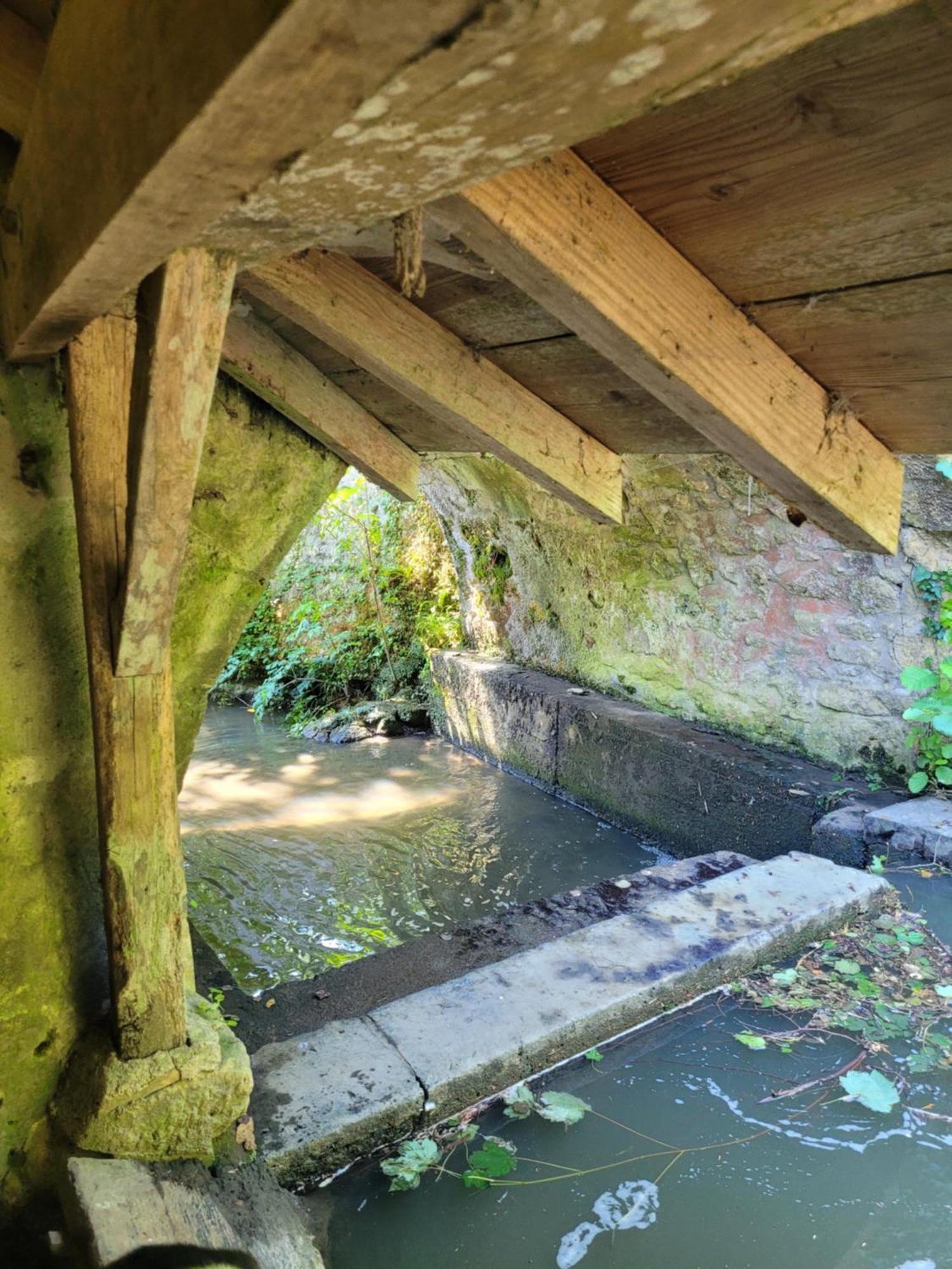 La Maison Aux Iris Pocé-sur-Cisse Dış mekan fotoğraf