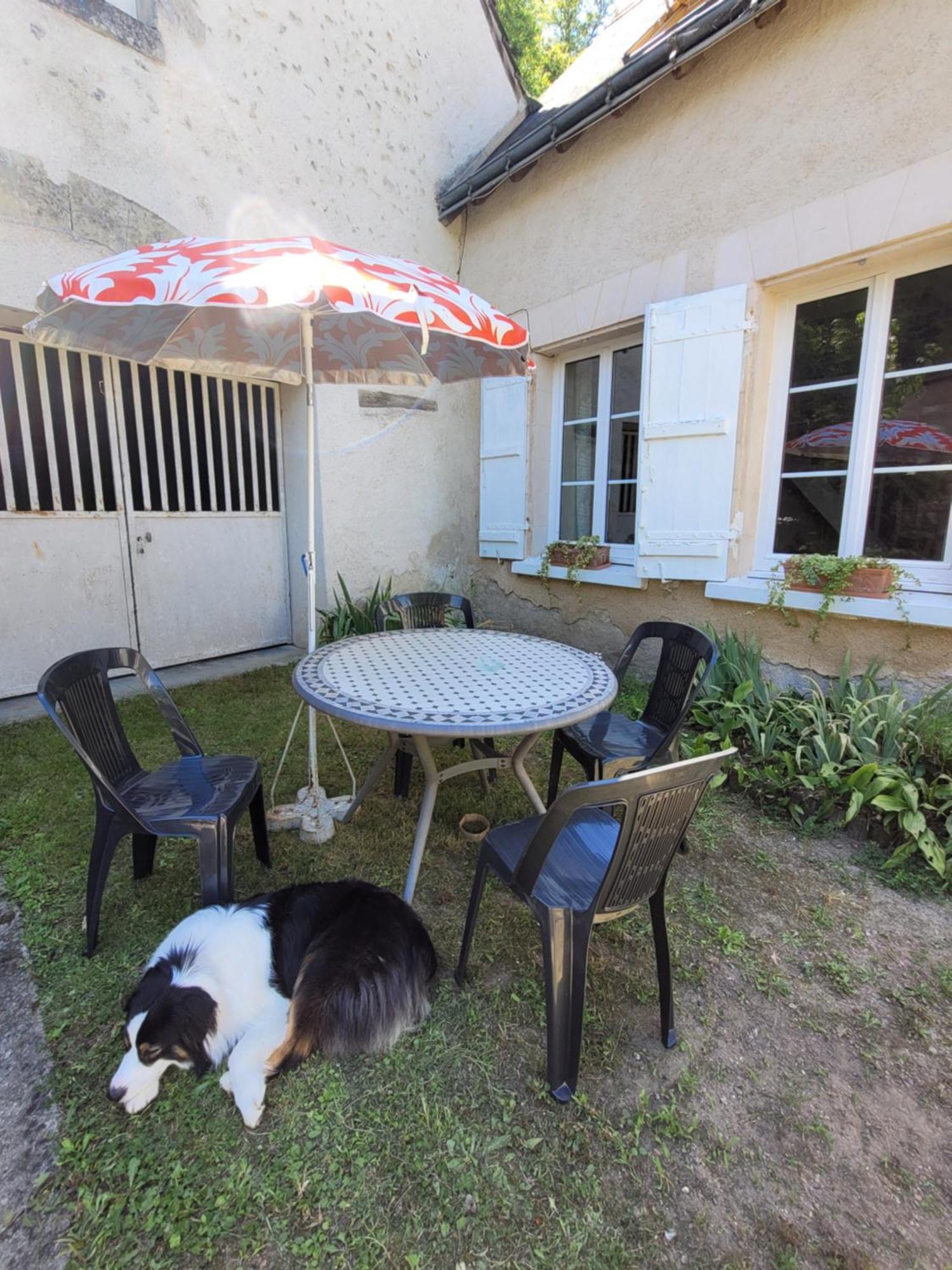 La Maison Aux Iris Pocé-sur-Cisse Dış mekan fotoğraf